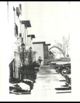 LaClede Town: An Analysis of Design and Government Policies in a Government-Sponsored Project by Ramin Bavar