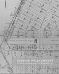 Cabanne Neighborhood: Activating Neighborhood HIstories to Promote Resiliency by Catalina Freixas