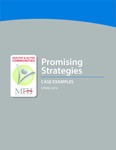 Promising Strategies: Case Examples by Center for Public Health Systems Science, Stephanie Andersen, Rachel Barth, and Cheryl Kelly