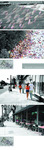 Grand Center Dynamic Impression by Junru Zheng