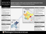 Spatial Analysis of St. Louis County 2013 Chlamydia Cases Identifying Neighborhood for Priority Resource Allocation