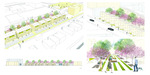 [An Interactive Strategy Between Landscape and Housings] by Ophelia Ji
