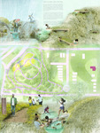 Gwen Giles Park Turtle Time Track by Martine Kushner